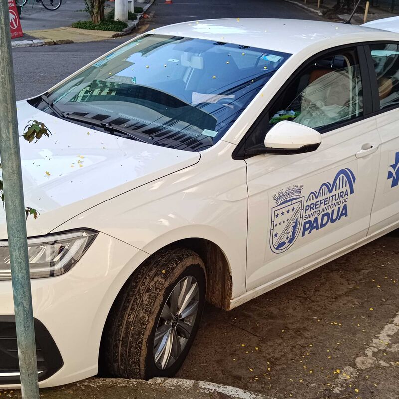 Imagem da publicação