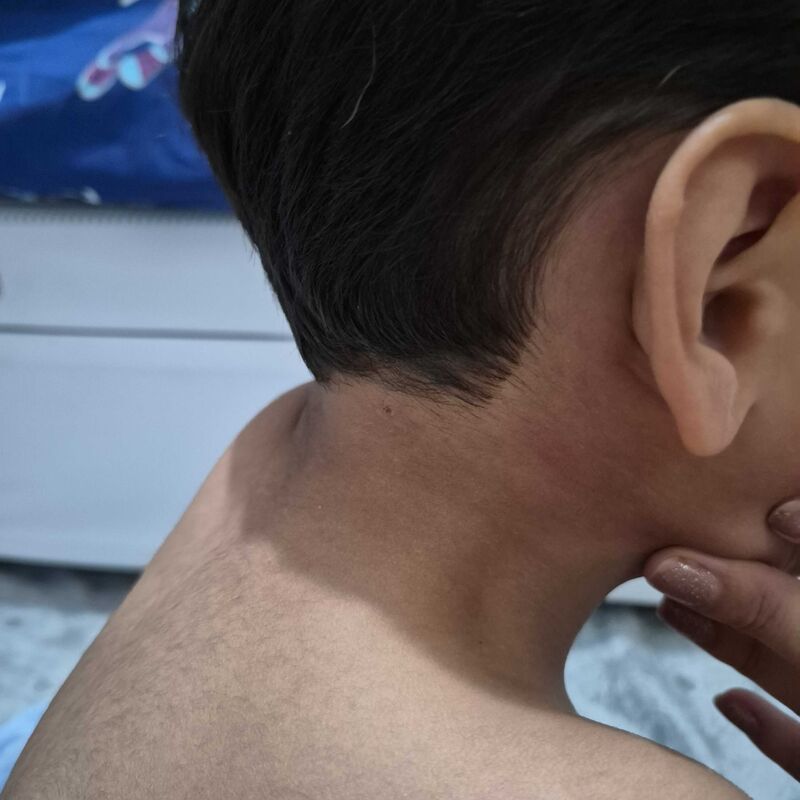 Imagem da publicação