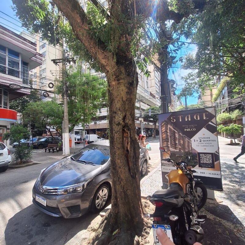 Imagem da publicação