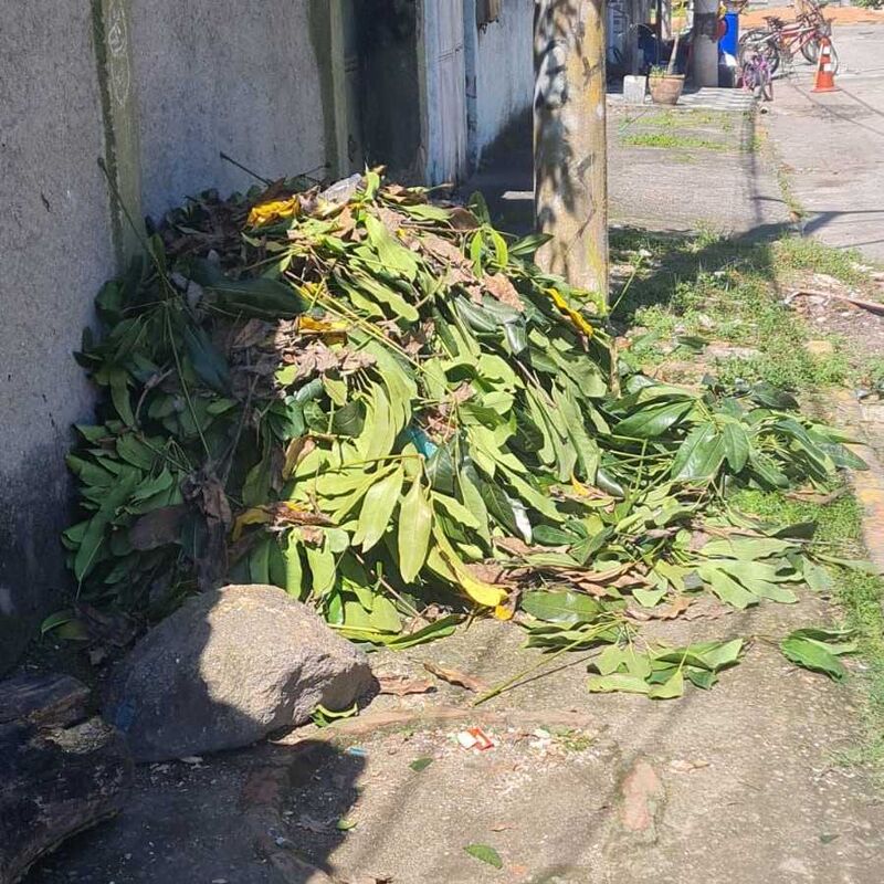 Imagem da publicação