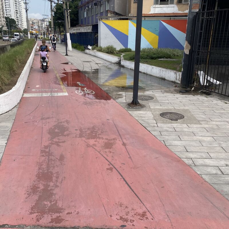 Imagem da publicação