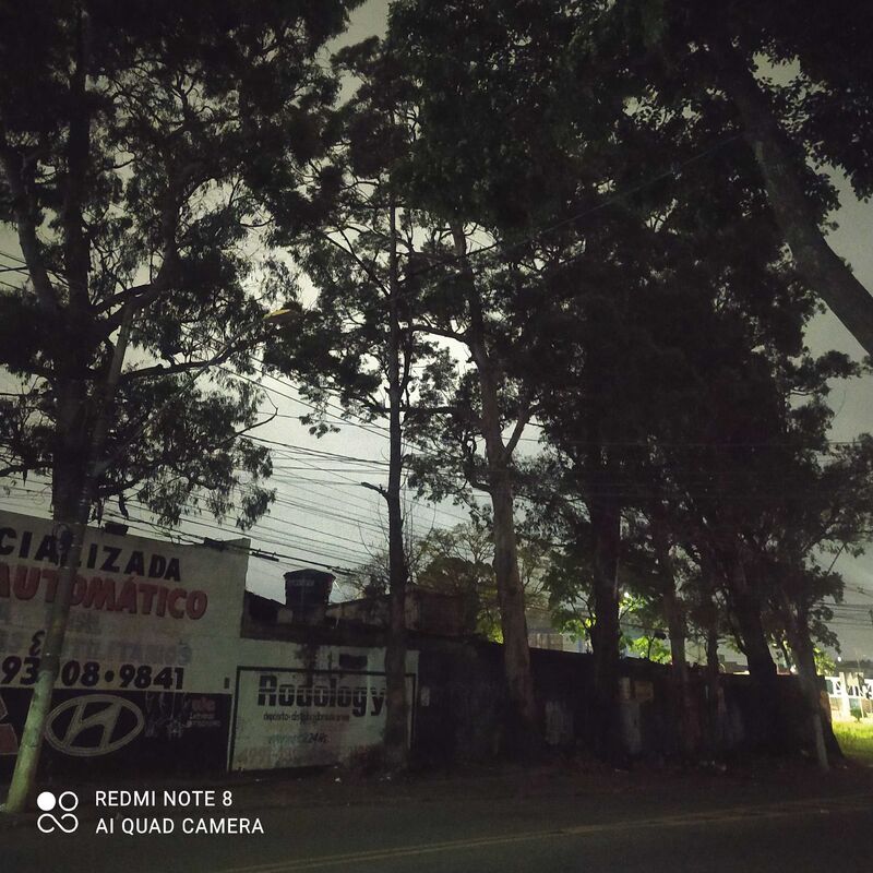 Imagem da publicação