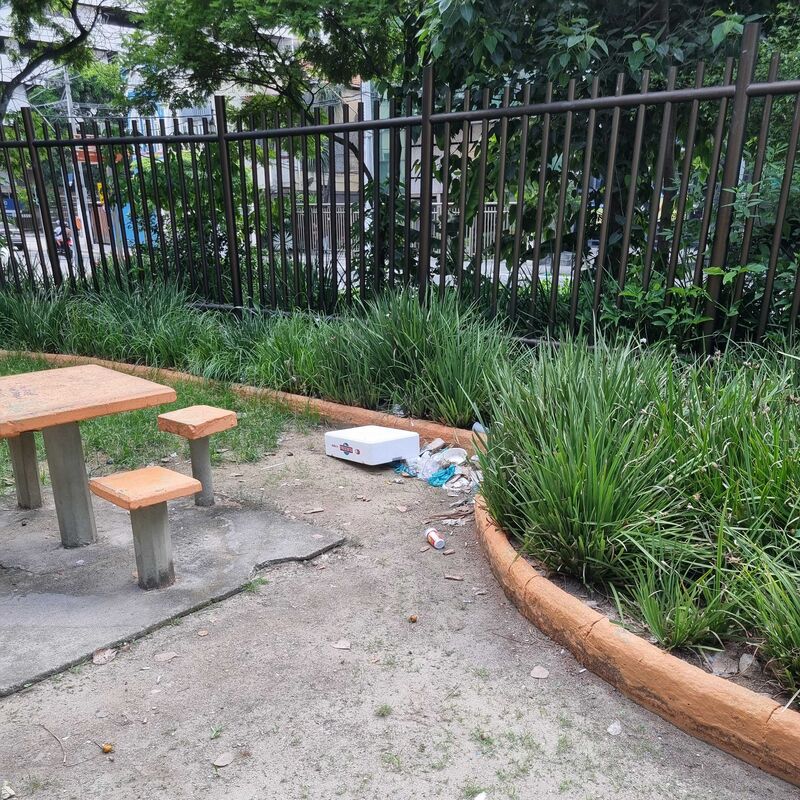 Imagem da publicação