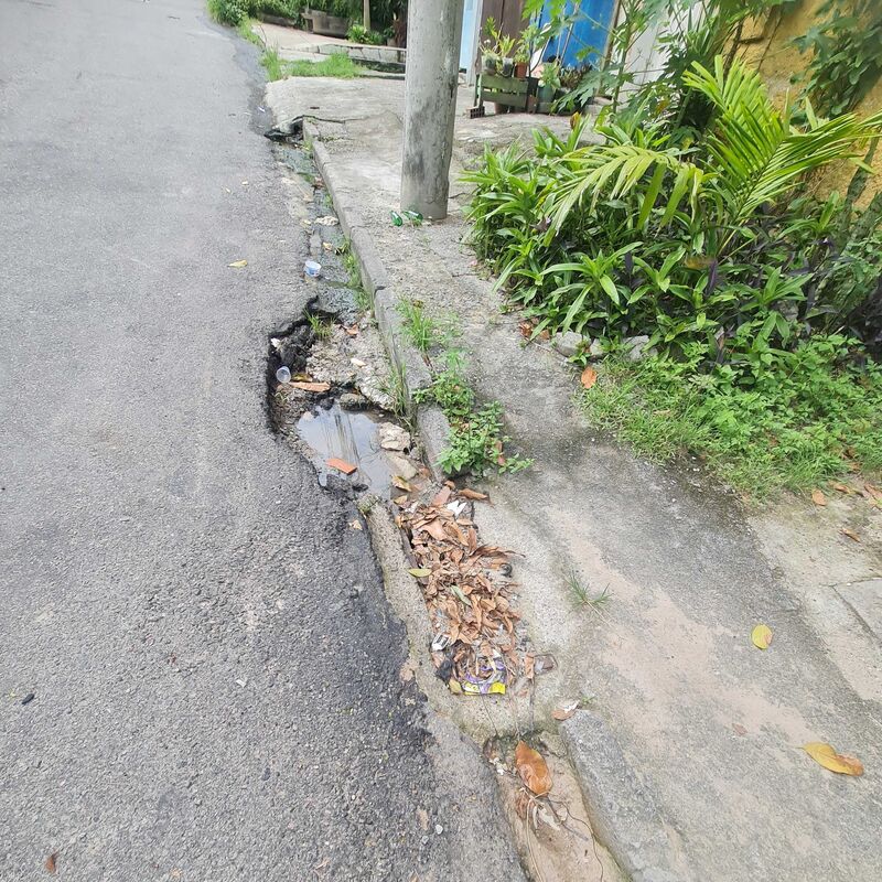 Imagem da publicação