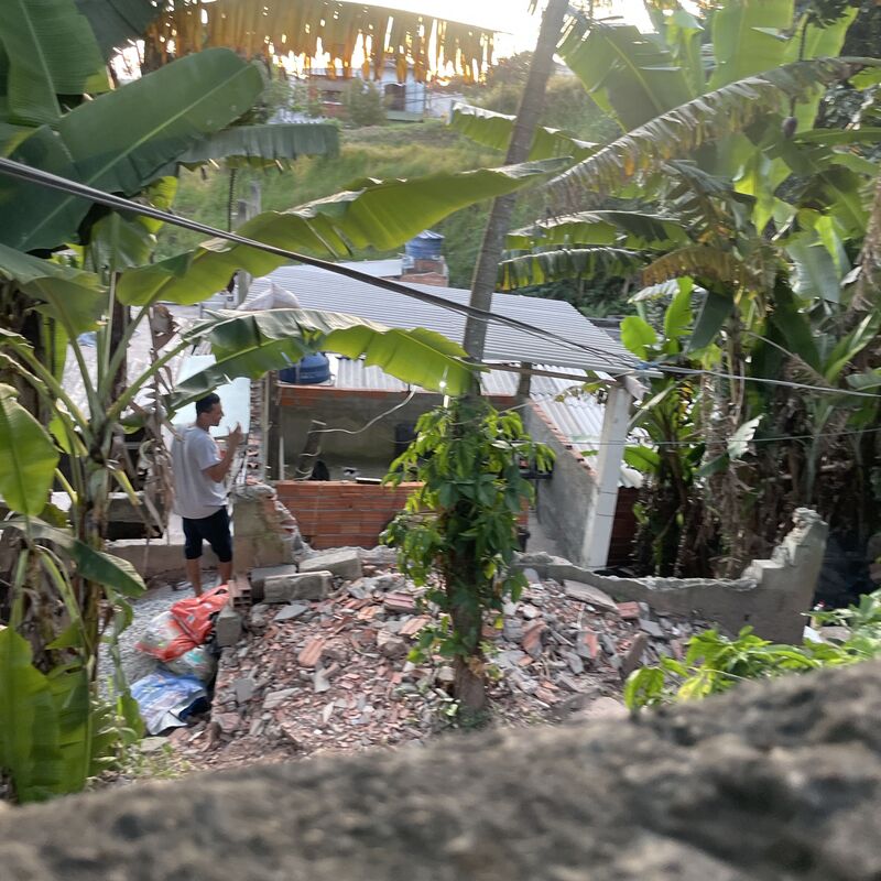 Imagem da publicação