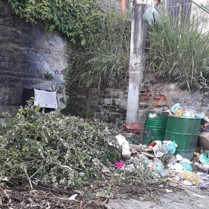 Imagem da publicação