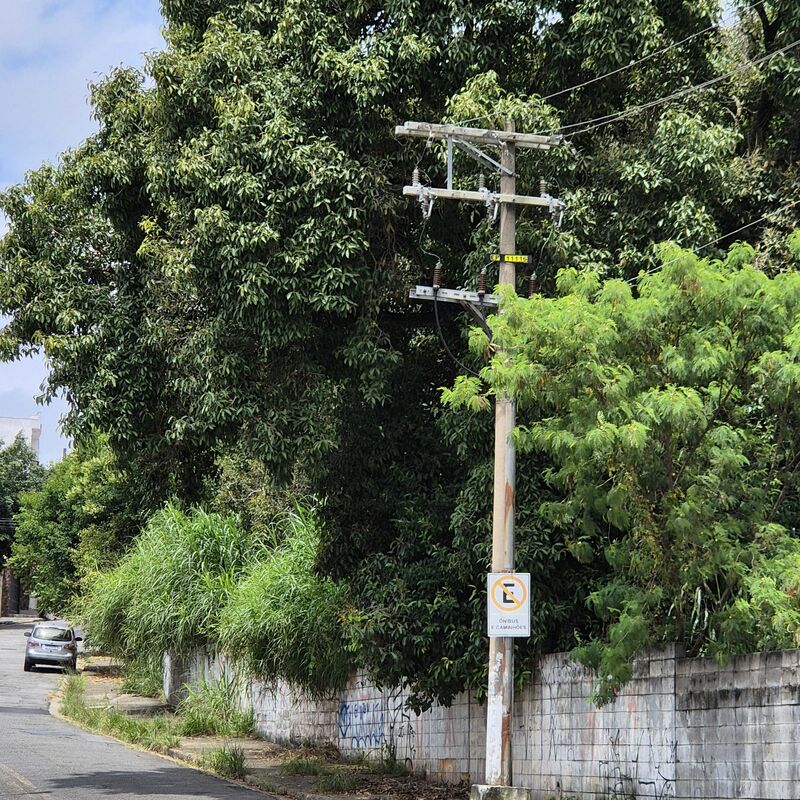 Imagem da publicação