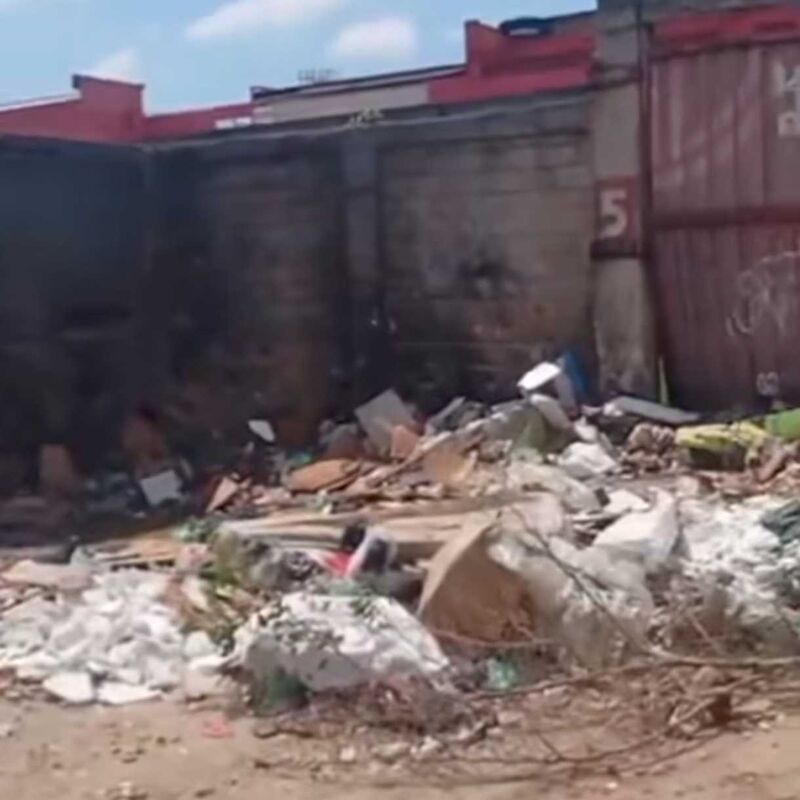 Imagem da publicação