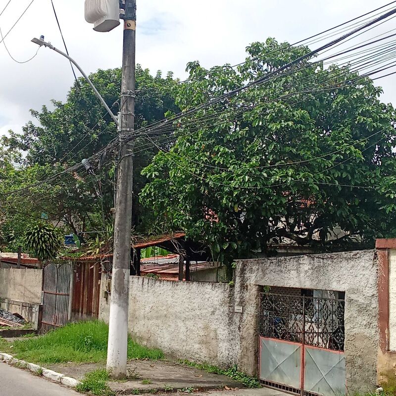 Imagem da publicação