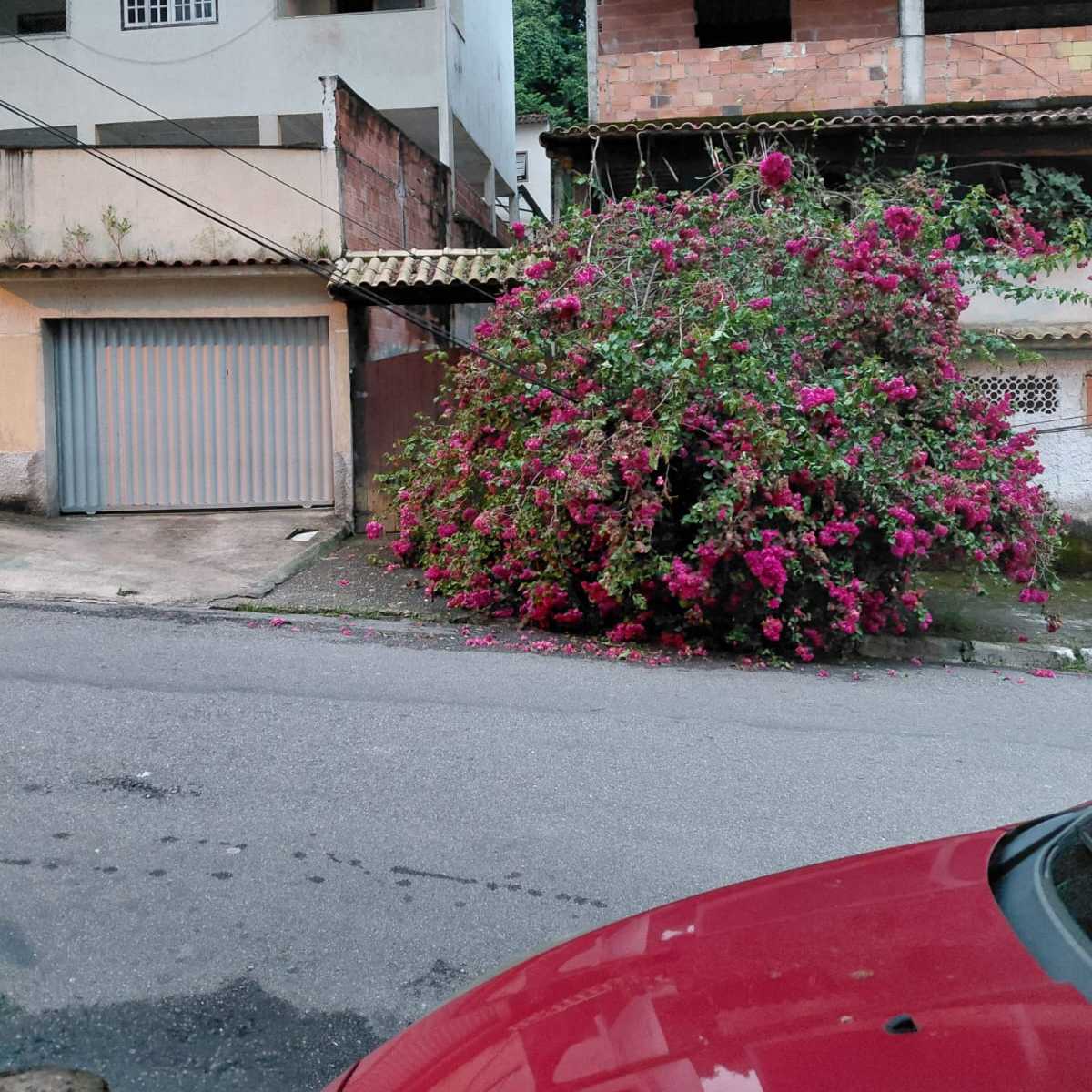 Imagem da publicação