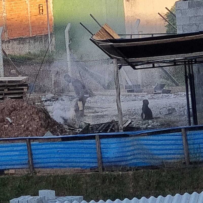 Imagem da publicação