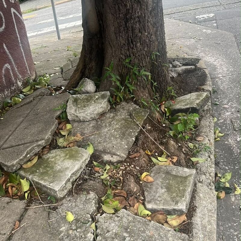 Imagem da publicação