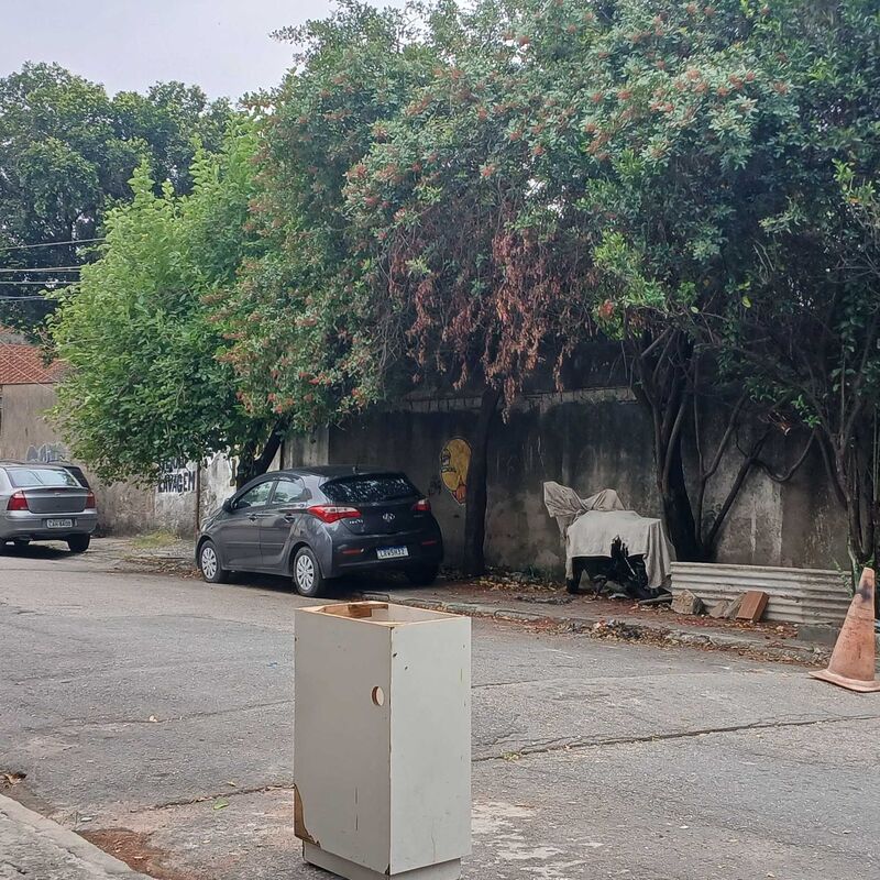 Imagem da publicação