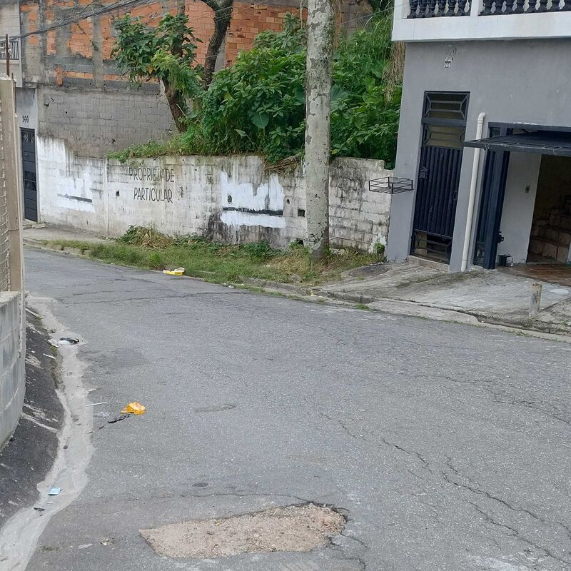 Imagem da publicação