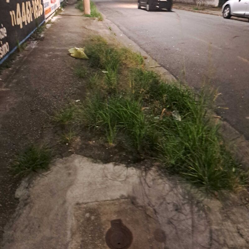 Imagem da publicação