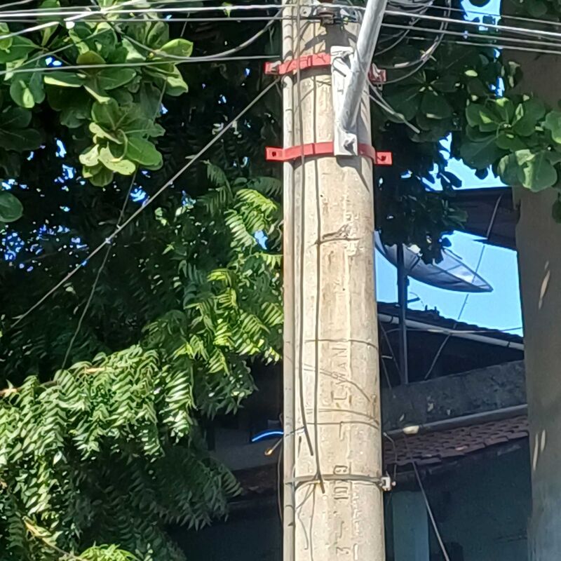 Imagem da publicação