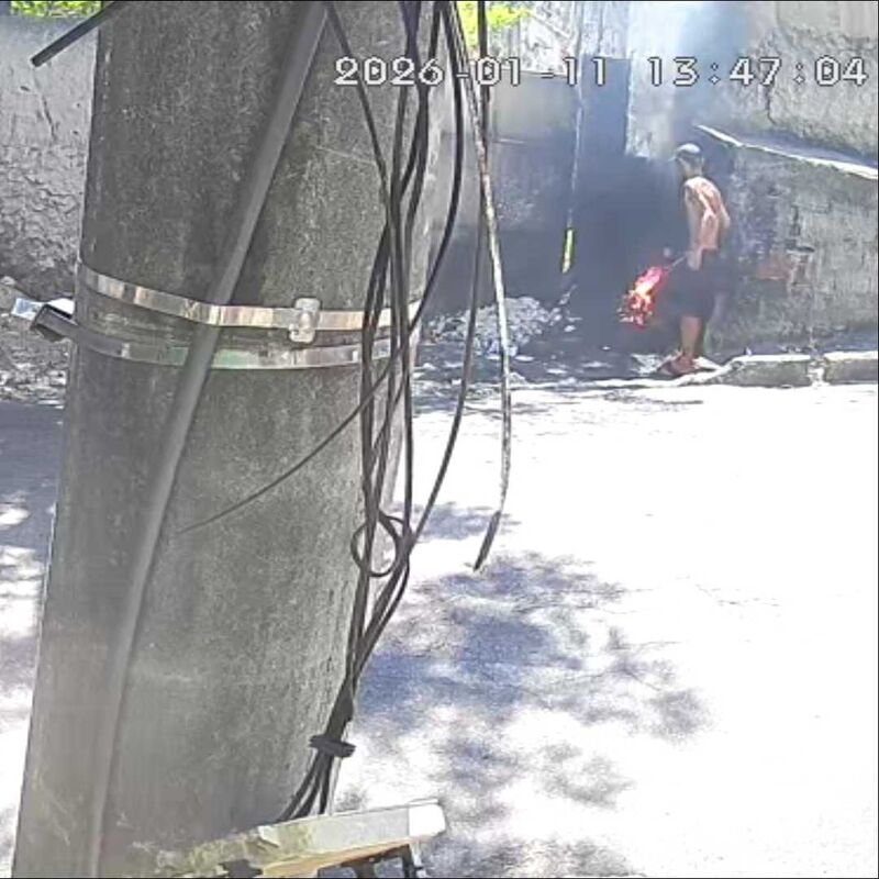 Imagem da publicação