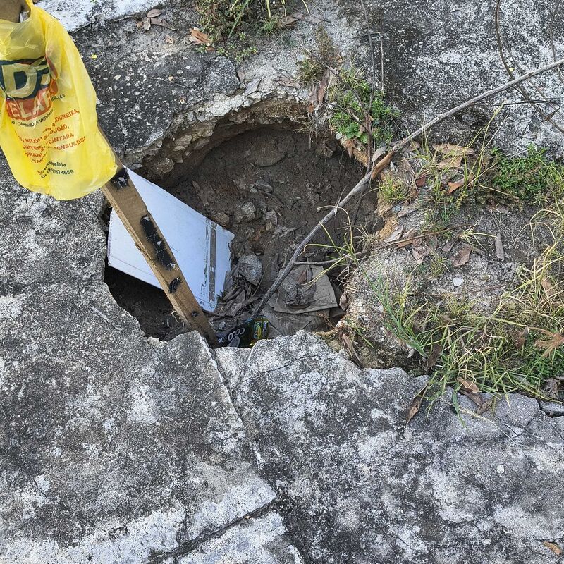 Imagem da publicação