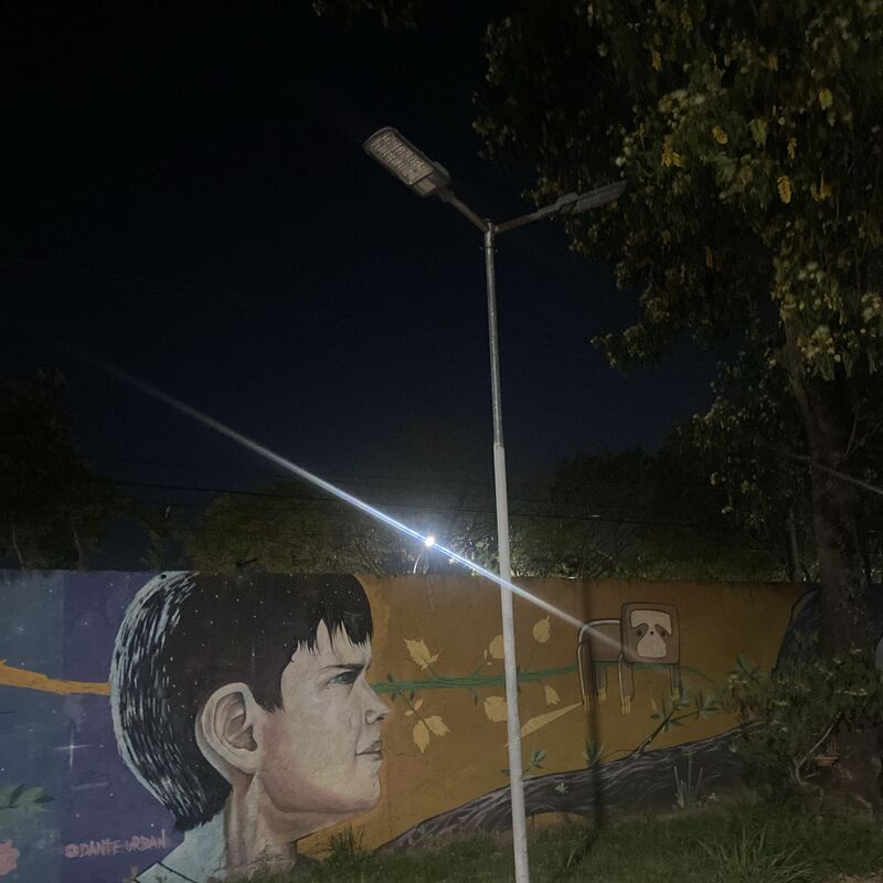 Imagem da publicação