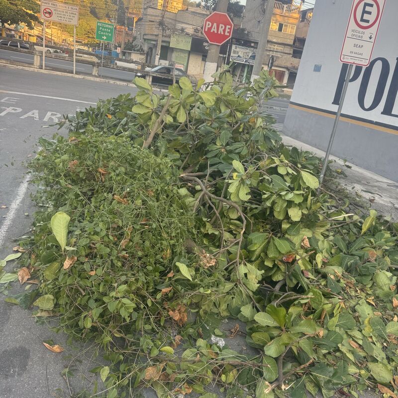 Imagem da publicação