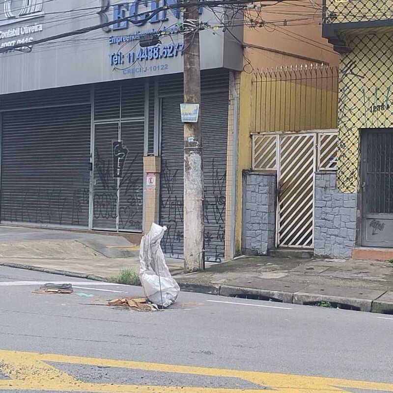 Imagem da publicação