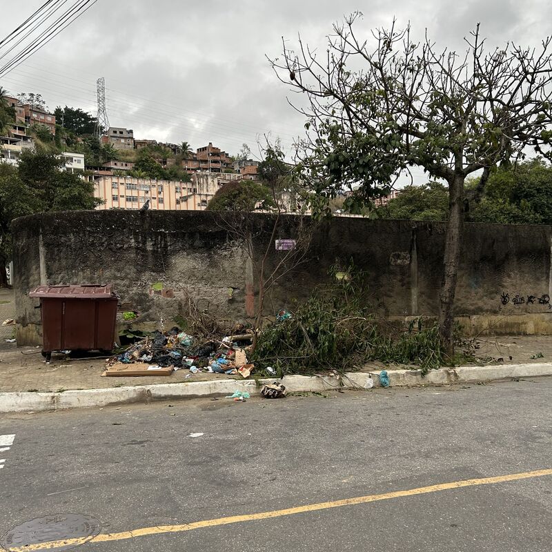 Imagem da publicação