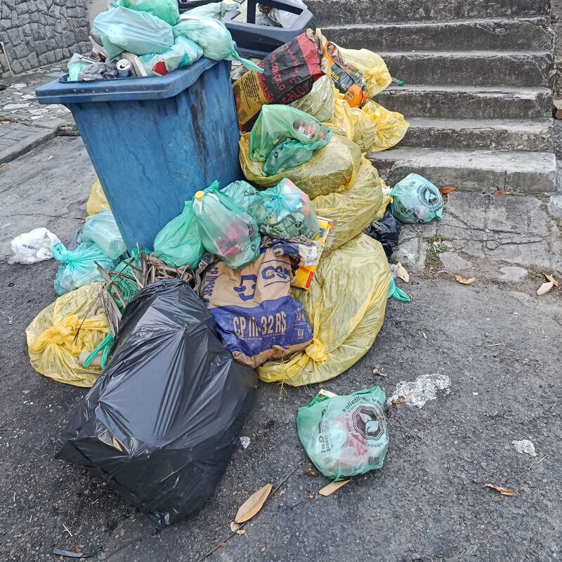 Imagem da publicação