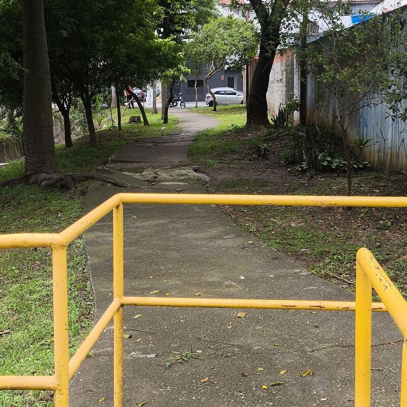 Imagem da publicação