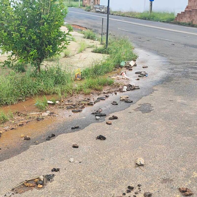 Imagem da publicação