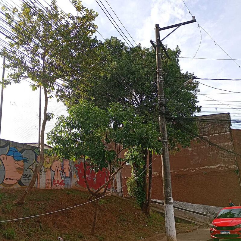 Imagem da publicação