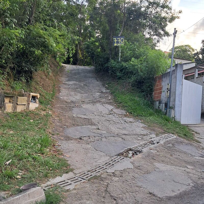 Imagem da publicação