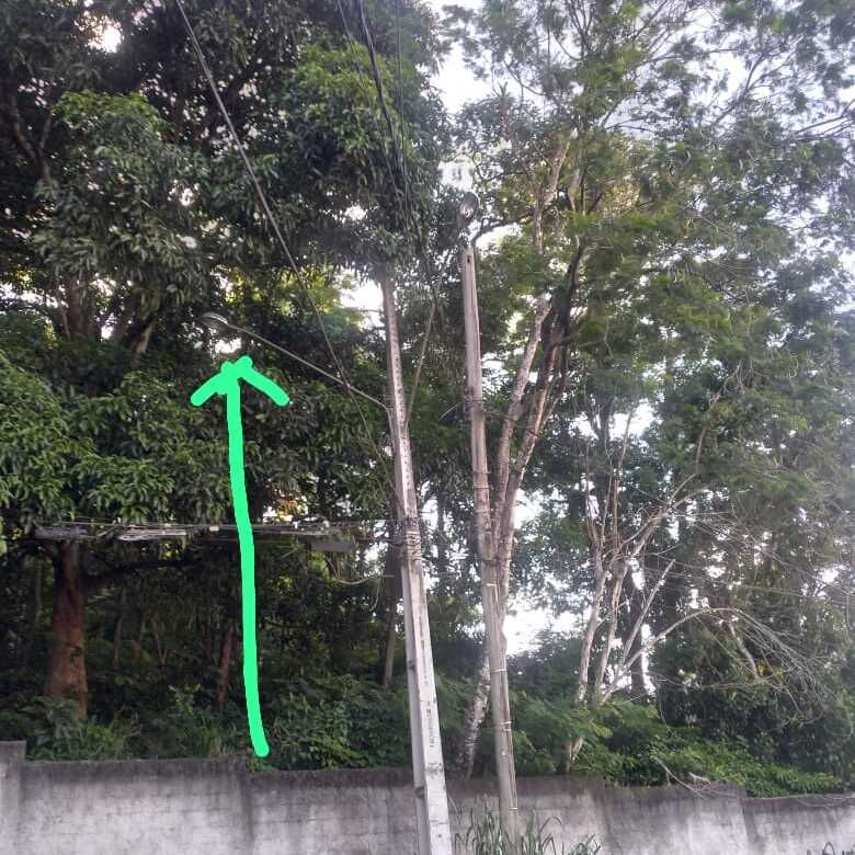 Imagem da publicação