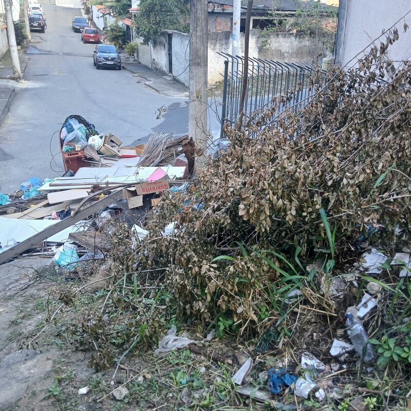 Imagem da publicação