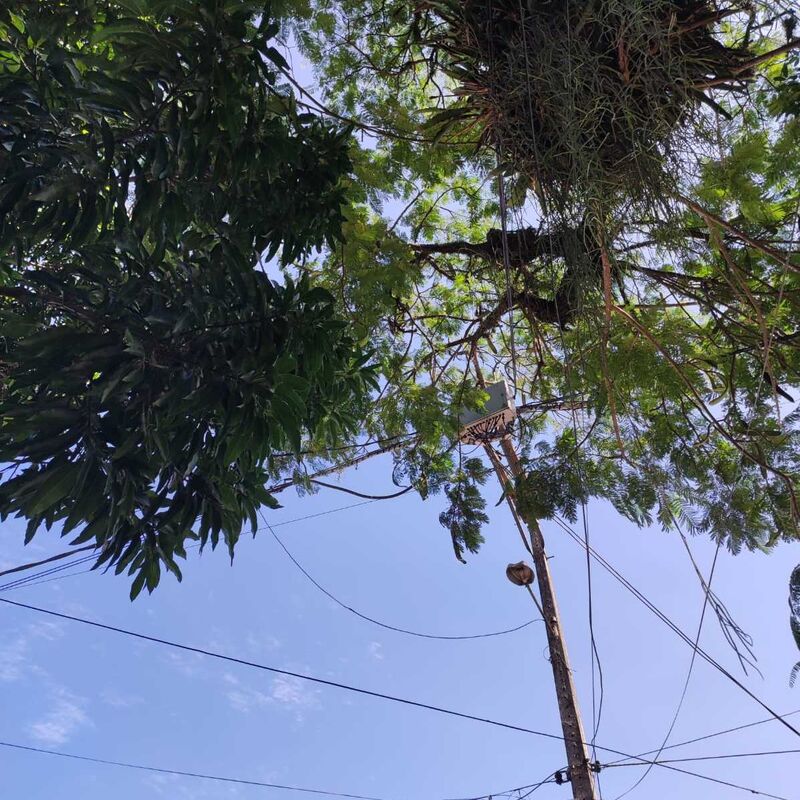 Imagem da publicação