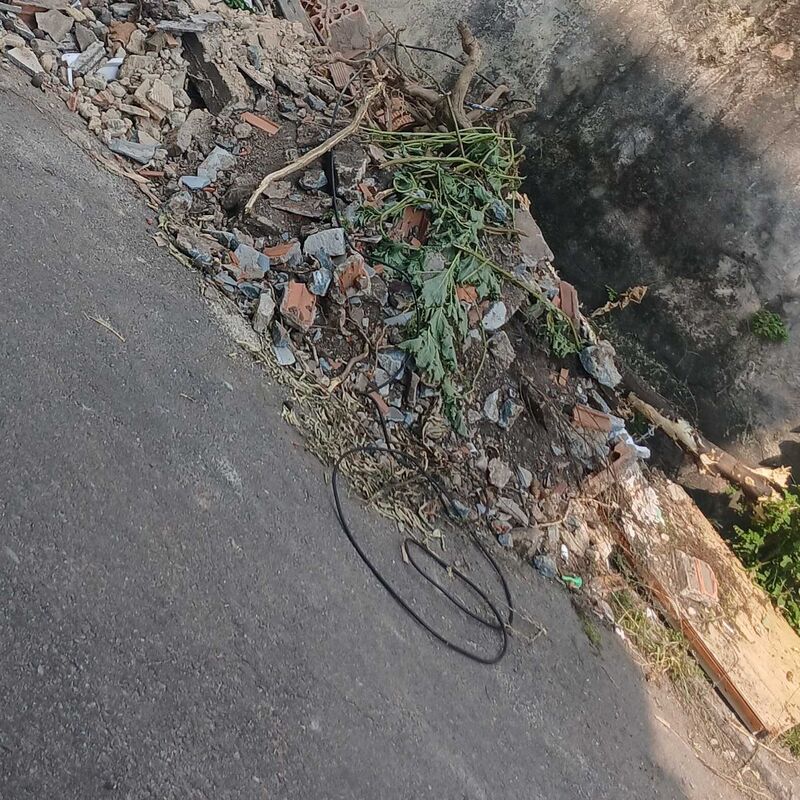 Imagem da publicação