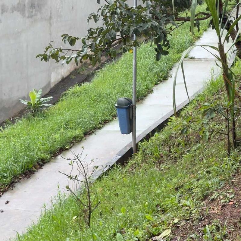 Imagem da publicação