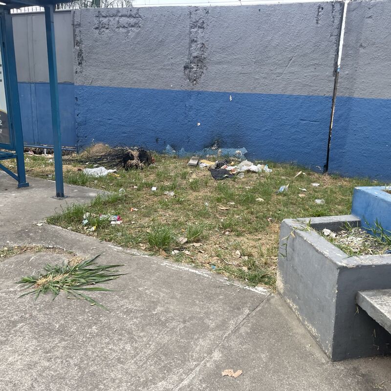 Imagem da publicação