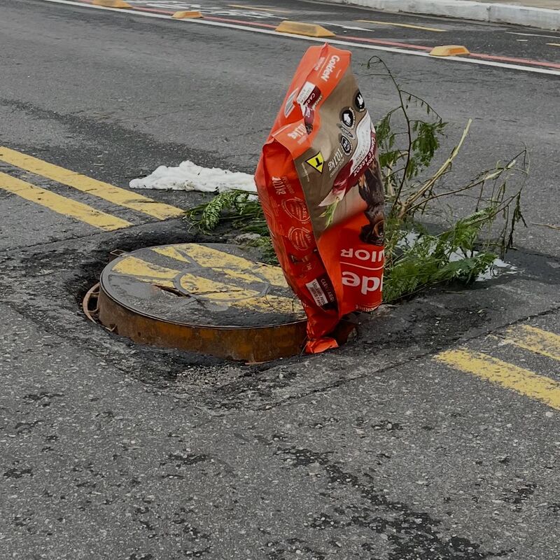 Imagem da publicação