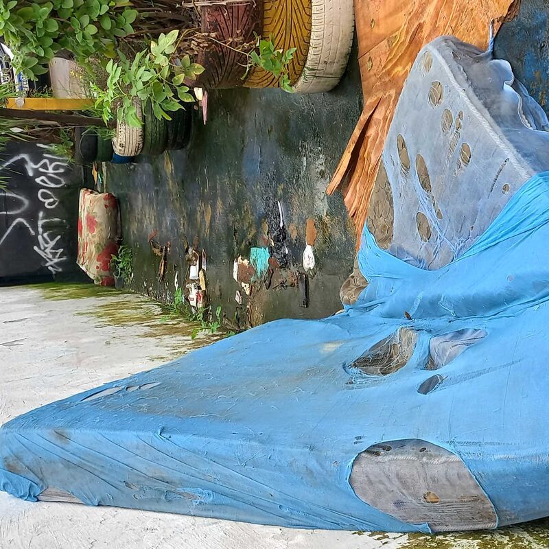 Imagem da publicação