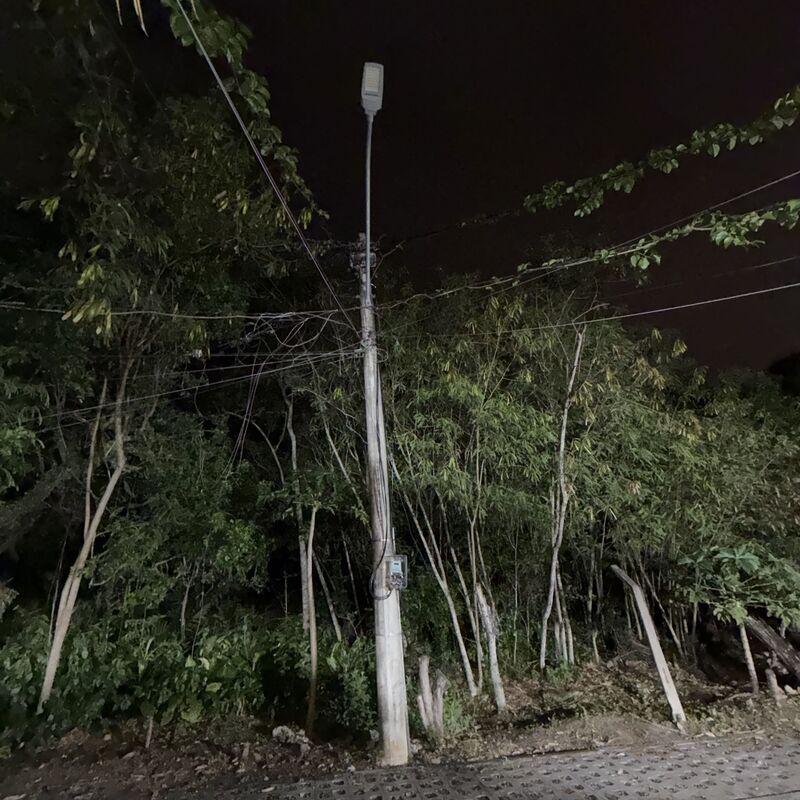 Imagem da publicação