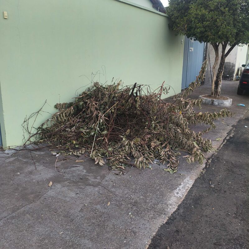 Imagem da publicação