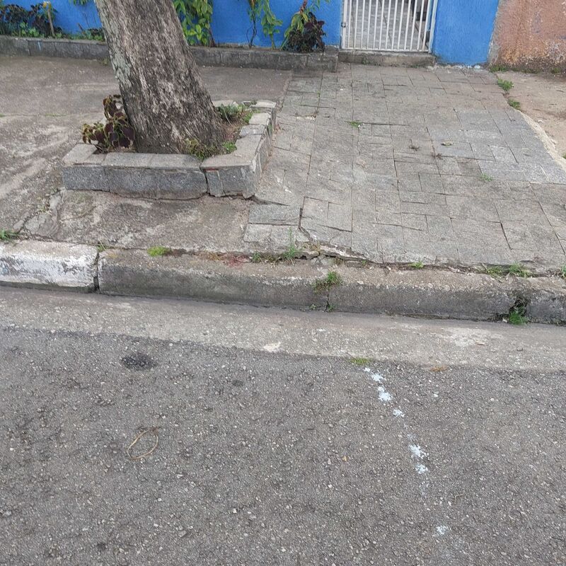 Imagem da publicação