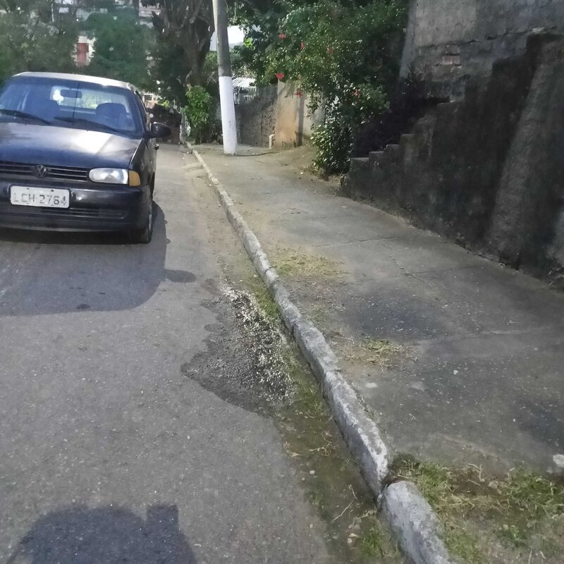Imagem da publicação