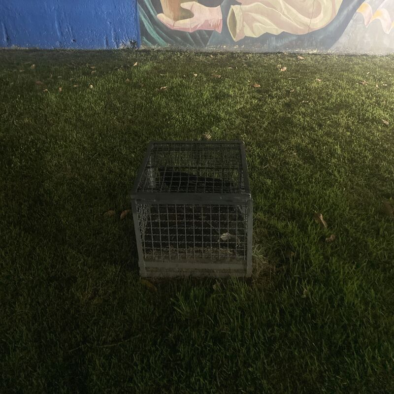 Imagem da publicação