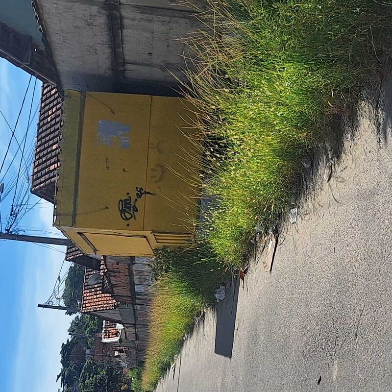 Imagem da publicação