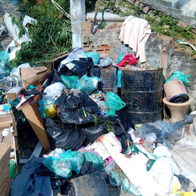 Imagem da publicação