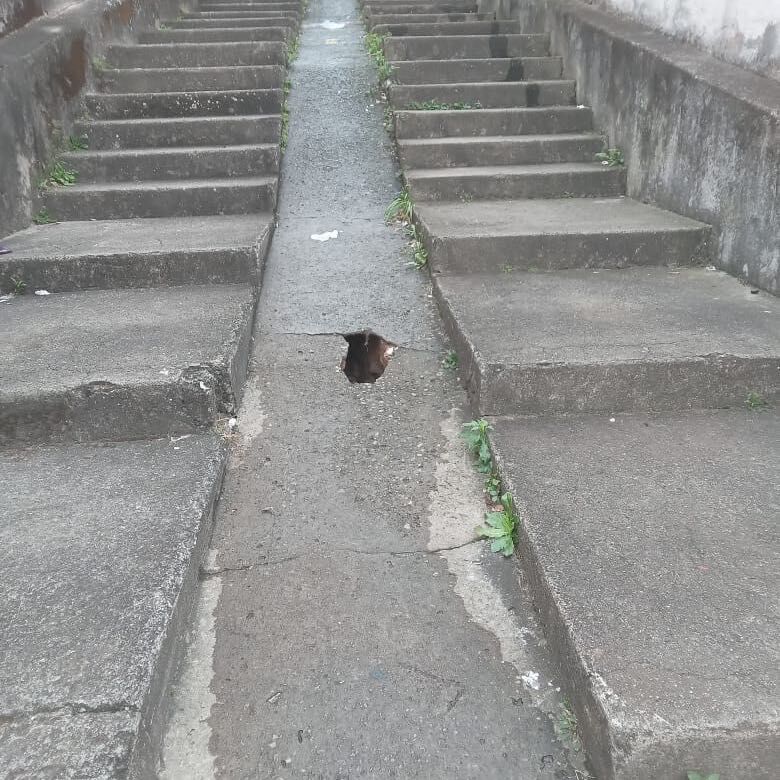 Imagem da publicação