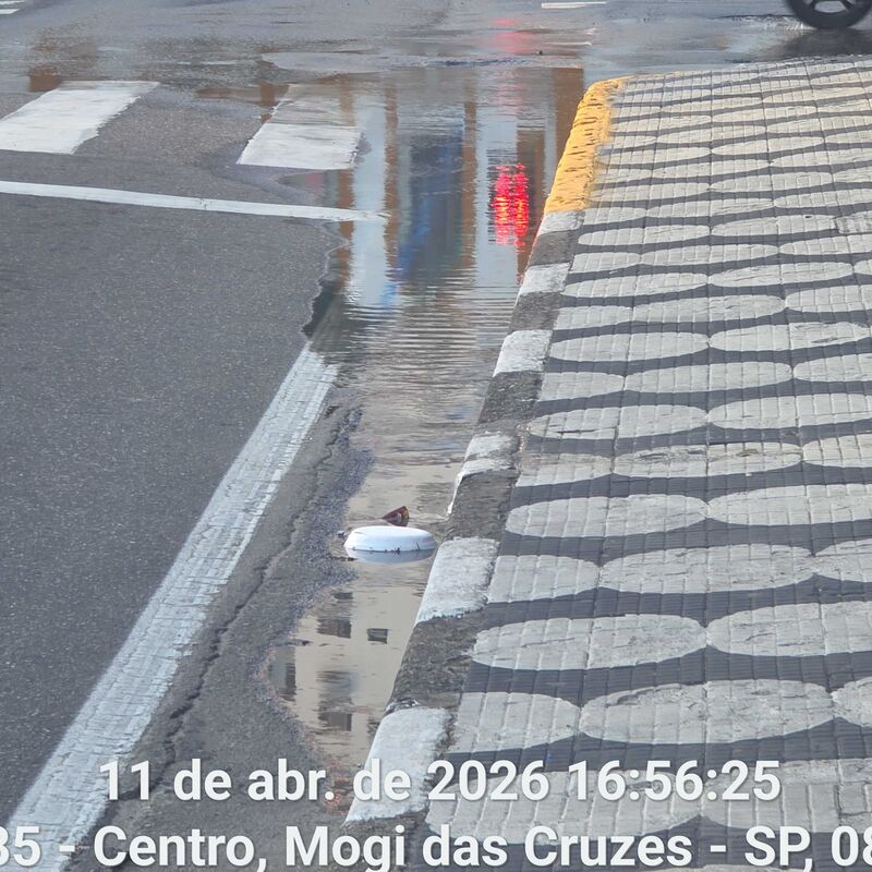 Imagem da publicação