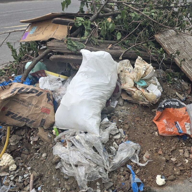 Imagem da publicação