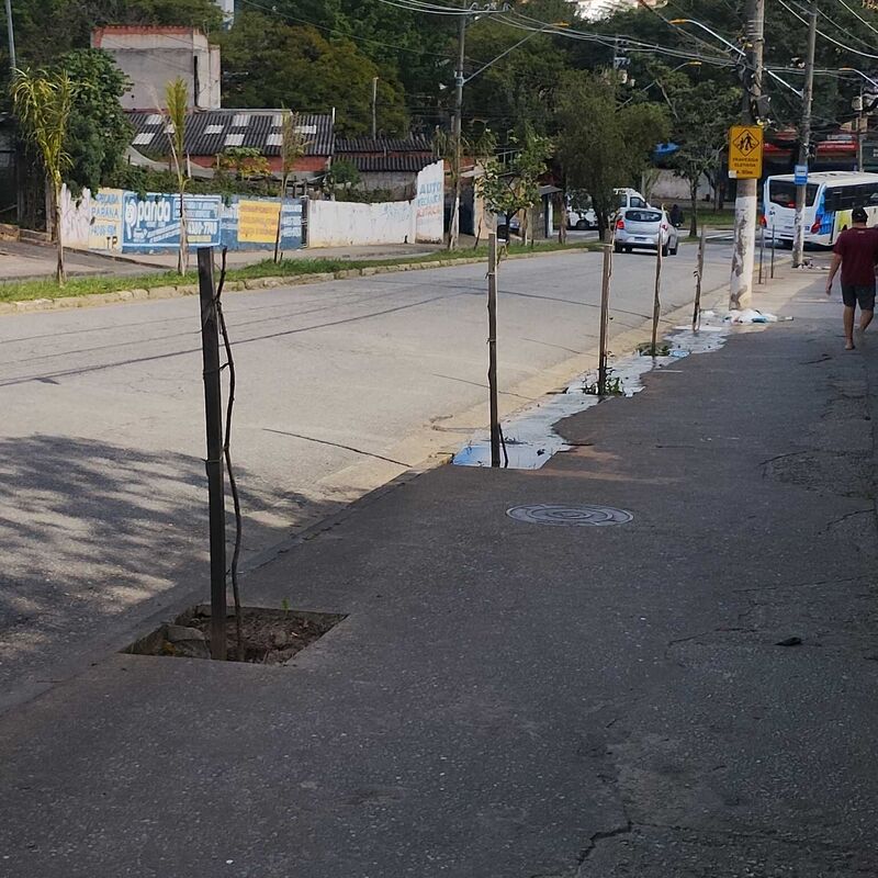 Imagem da publicação